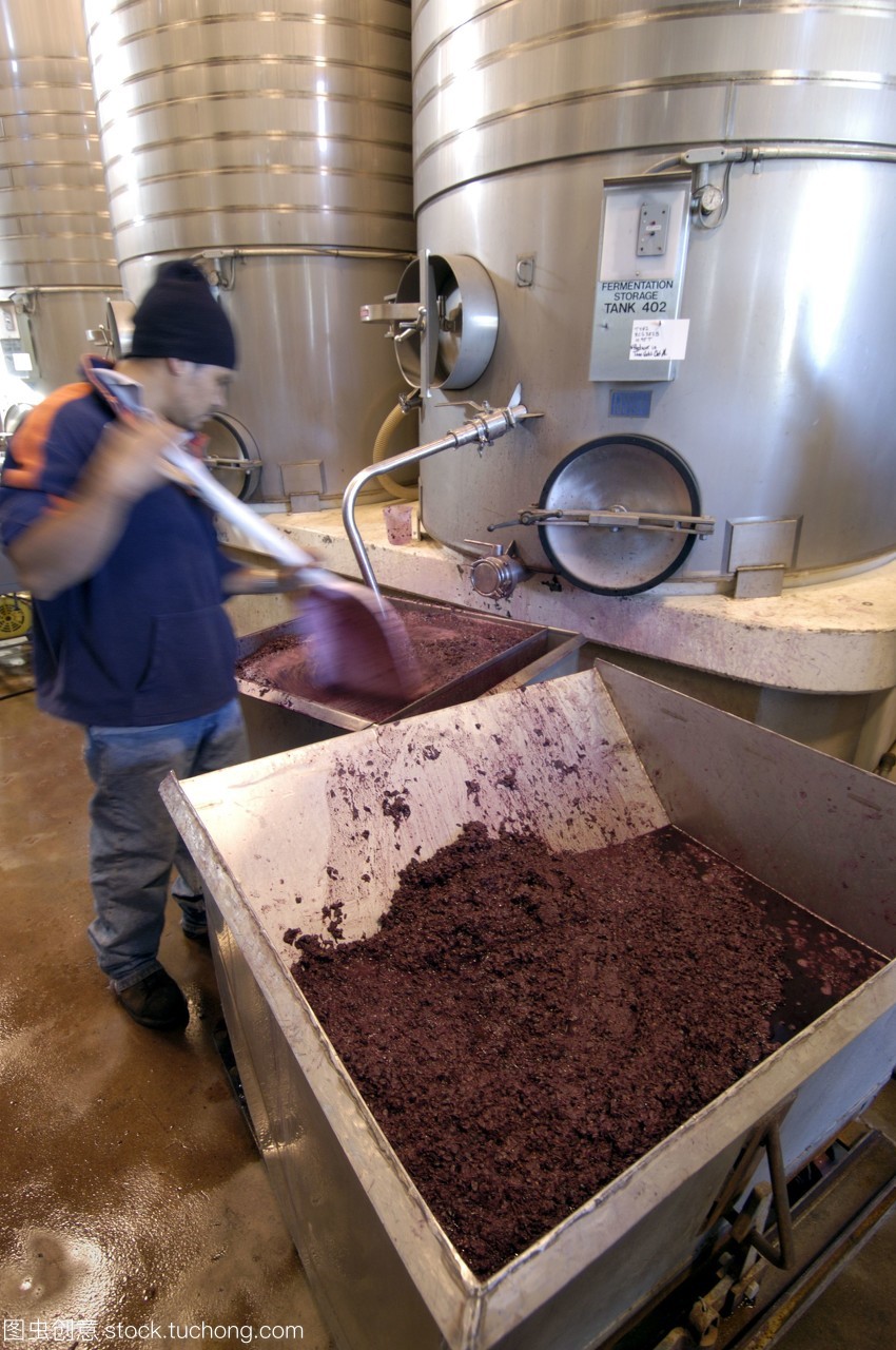 葡萄園,葡萄,美酒,葡萄酒釀造廠,蔬果,酒精,酒類,酒水,釀酒,酒,采葡萄,鐵鏟,人,葡萄酒,飲料,發酵,人類,人物,缸,生活方式,大缸,男人,制作,工作,打工,干凈,打掃,水果,果實,擦痕,清掃,現代,清潔,吃,生產,吃飯,生活,喝水,喝酒,喝飲料,喝