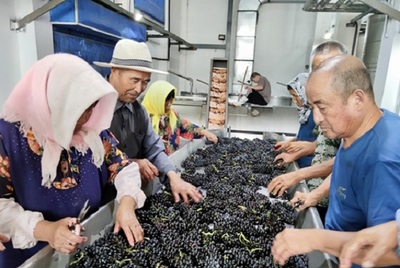 日媒:中國(guó)葡萄酒進(jìn)入全球主流市場(chǎng) 法國(guó)米其林給予最高級(jí)評(píng)價(jià)